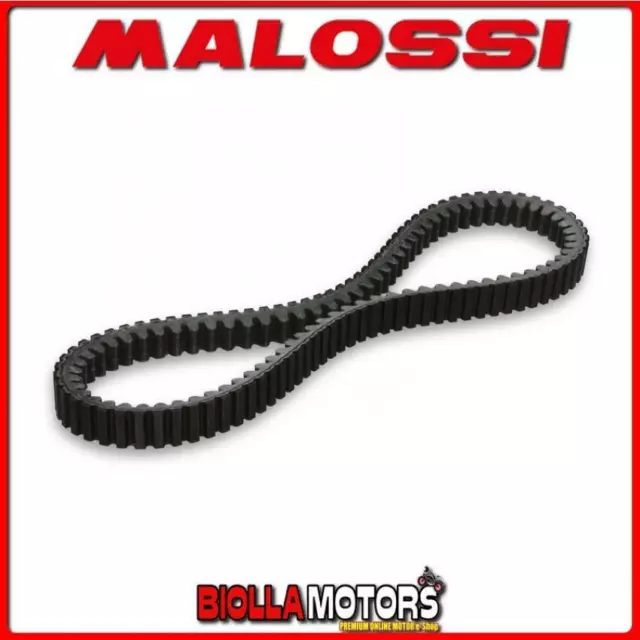 6115125 Cinghia Variatore X K Belt Malossi Aprilia Scarabeo Light 500 Ie 4T Lc 2