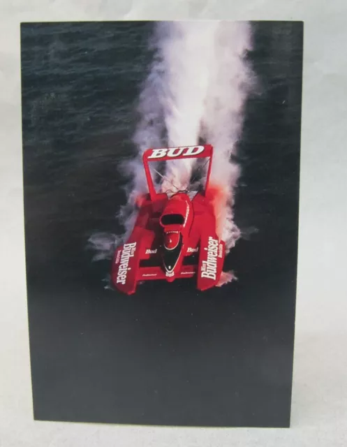 1994 BUDWEISER promo color card picture print hydroplane boat racing