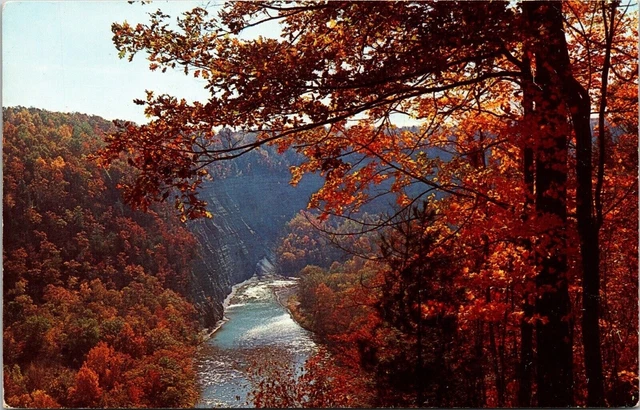 Letchworth State Park Castile New York Genesee River Gorge Cancel Pm Postcard
