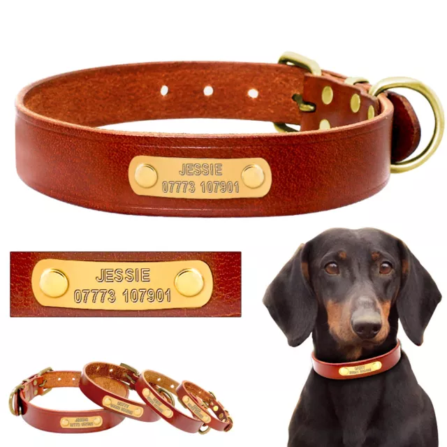 Pet Leather Personalized Collar Small Medium Large Dog Gold ID Name Tag Engraved