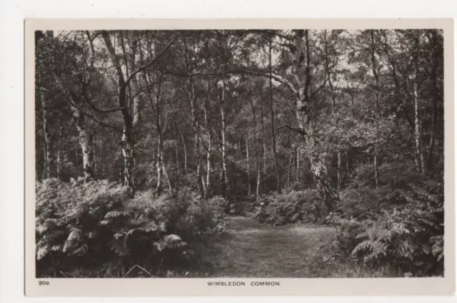 Wimbledon Common RP Postcard, B355