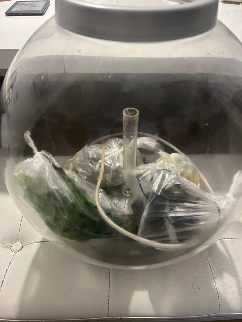 biorb classic 30l fish tank 2