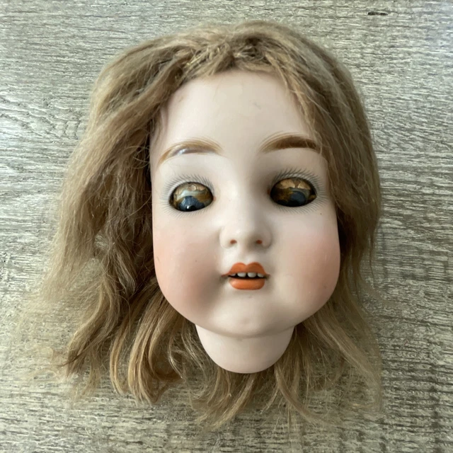 Kammer And Reinhardt Majestic Bisque Doll Head