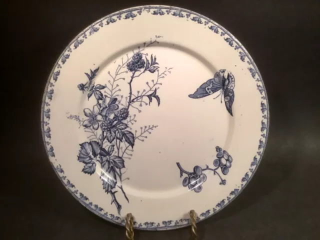 Very Old French Faience Dark Blue Flowers, Berries and Butterfly Plate c.1800's