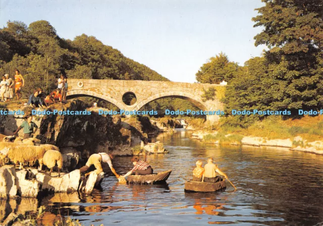 D069891 Dyfed. Coracles at Cenarth. J. Arthur Dixon