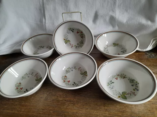 Royal Albert "Bitter Sweet" Cereal/Dessert Country Garden Bowls X 6 Ex Cond