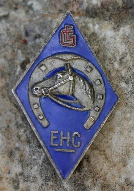 Insigne Original Des Chantiers De Jeunesse Français - WWII 1940 - Augis - État Correct