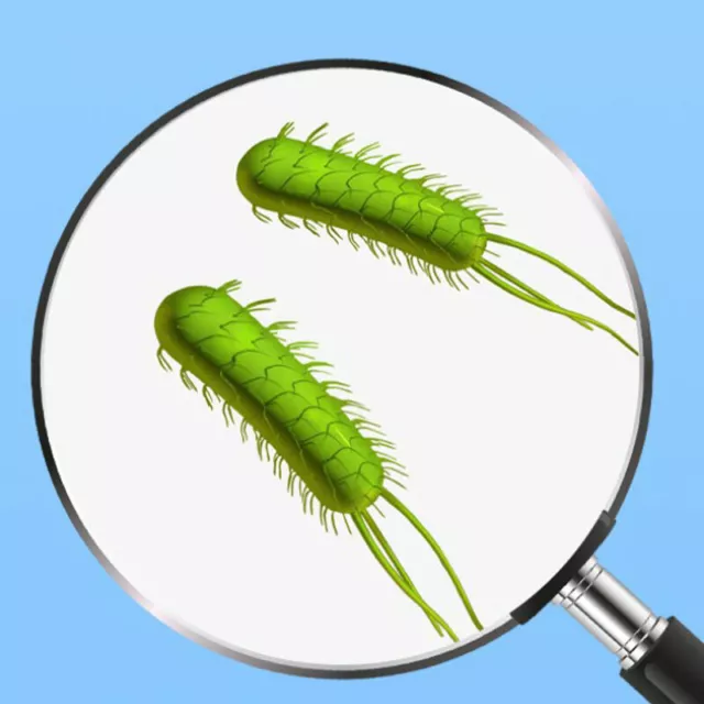 Papel de prueba HP Helicobacter Pylori en el estómago papel de prueba sarro oral ExaminatiZ8