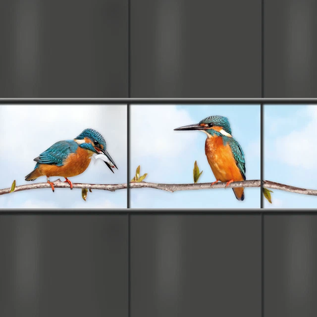 Bedruckte Sichtschutz Streifen Print Zaunstreifen Motiv Zaunblenden - Eisvogel