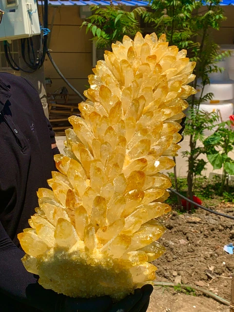 60.45LB  New Find yellow Phantom Quartz Crystal Cluster Mineral Specimen Healing 18