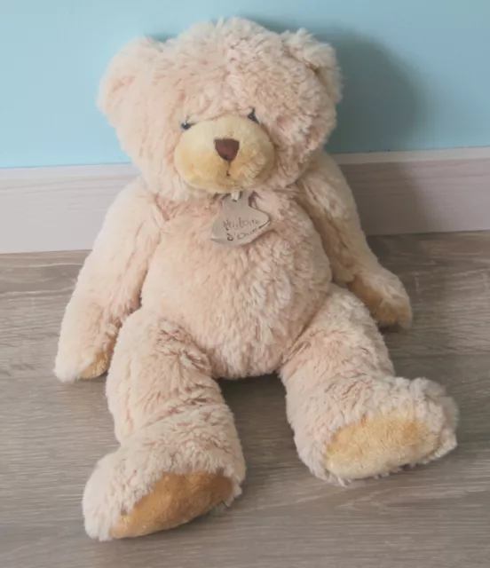 Doudou Peluche Ours Beige 33Cm Histoire D'ours   Etat Neuf