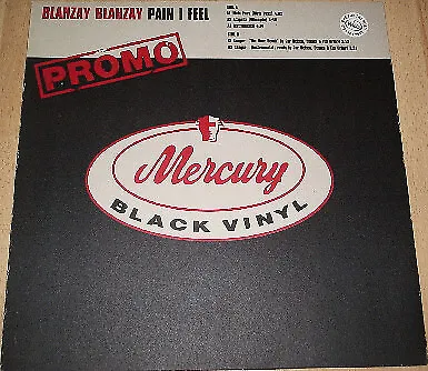 Blahzay Blahzay - Pain I Feel (12", Promo)