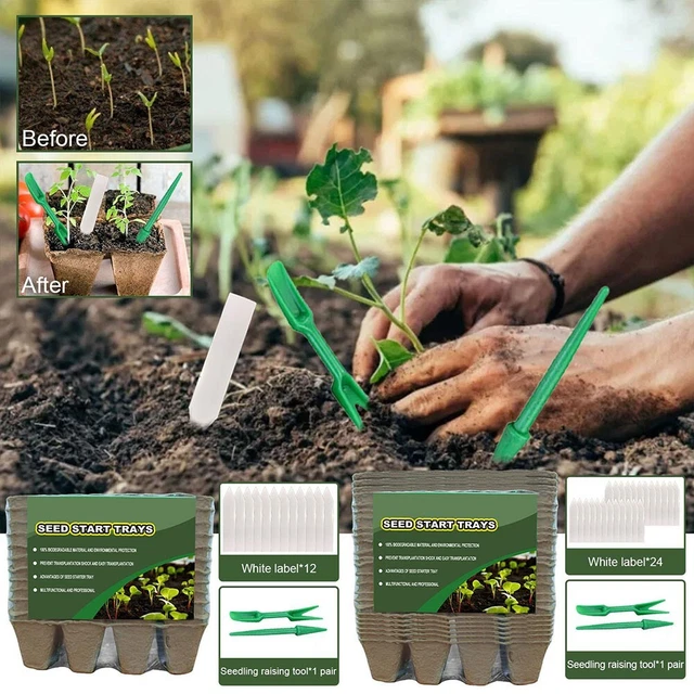 Etikett Pflanzschale Für Draußen Gartenarbeit Zu Hause Gemüsegarten Pflanzen