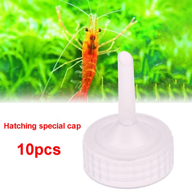 10x Aquarium Brine Shrimp Incubator Cap Artemia Hatcher Regulator Valve Ki.fa