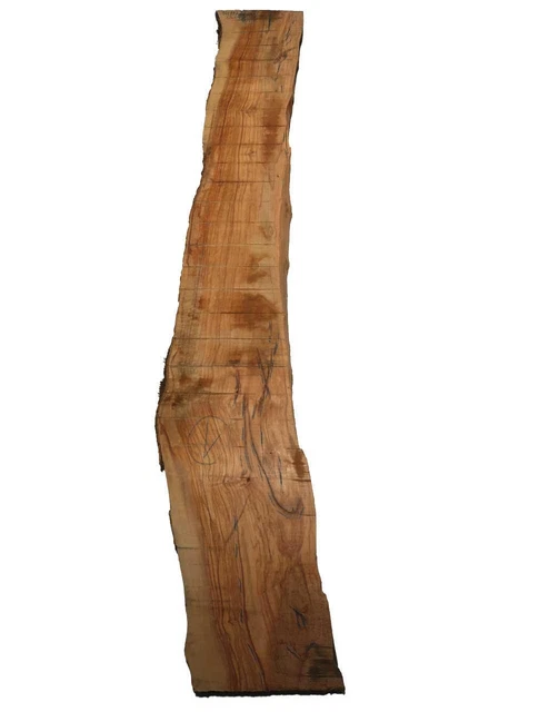 Bois D'Olivier Brett Olivier Exotique 141x17-23cm x 22-24mm