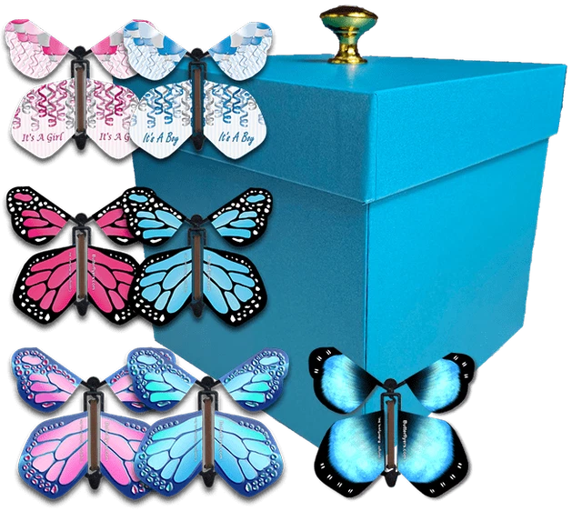 BLUE GENDER REVEAL Exploding Butterfly Box With Wind Up Flying
