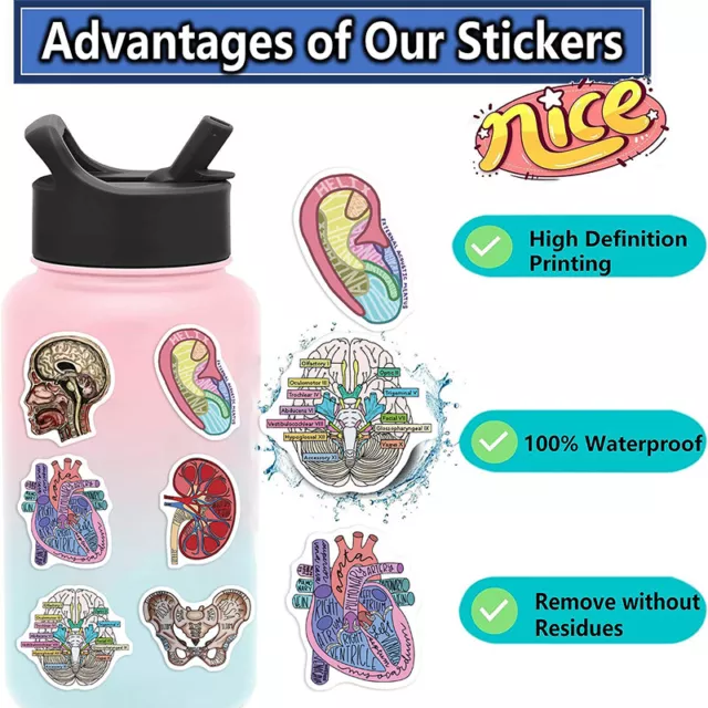 50PCS Cartoon Human Organ Cute Medical Anatomy DIY Graffiti Waterproof Stickers