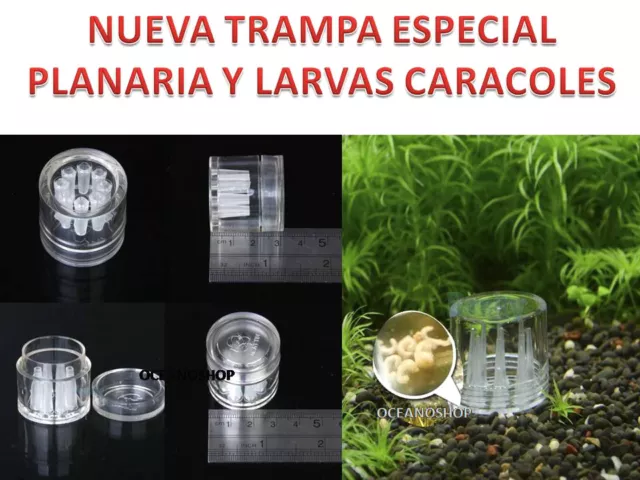 TRAMPA ATRAPA CARACOLES PLANARIA PLAGA EN ACUARIO pecera gambario CARACOL crias