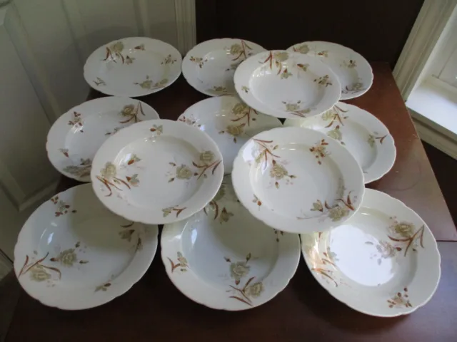 12 - Vintage Leonard China Austria Raised Enamel Floral Rimmed Soup Bowls 8 1/2"