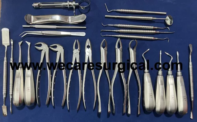 25 Pcs Oral Dental Surgery Extracting Elevators Forceps Instruments Kit Set