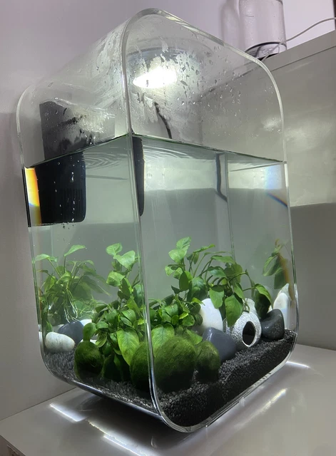 biorb life 15l fish tank custom 3