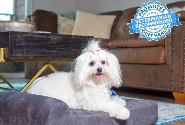 Barker Junior Orthopedic Dog Bed. The Big Barker for Small Medium Dogs  *Bonus*