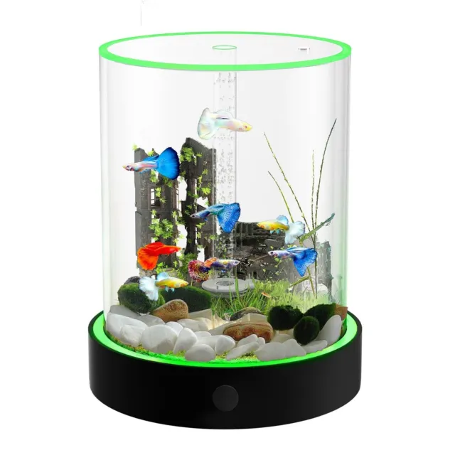 Betta Fish Tank Mini Aquarium: Suwarc Small Fish Tank with Filter and Light, ...