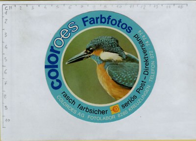 Adesivo sticker vintage COLIBRI colibrì bird uccello shop negozio libreria vendo 