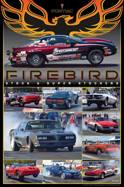 Pontiac Firebird Stock/Super Stock NHRA 20" x 30" Drag Race Poster. Pontiac Firebird Stock/Super Stock NHRA 20" x 30" Drag Race Poster.