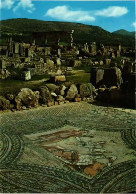 CPM AK Volubilis- La Maison au Cavalier MAROC (881056)