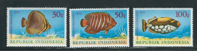 Indonésie 1972 Tropical Poisson (Sc 834-6) VF MNH
