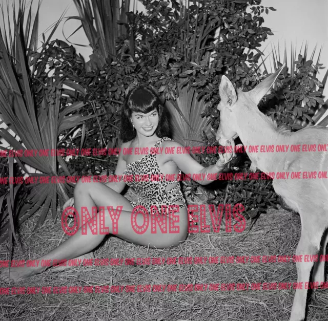 1954 BETTIE PAGE 20x20 LARGE Photo "QUEEN OF PIN-UPS" Petting a Deer