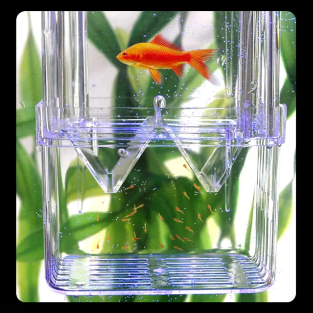 Acrylic Fish Tank Breeding Isolation Box Aquarium Incubator Holder Hatchery Case 2