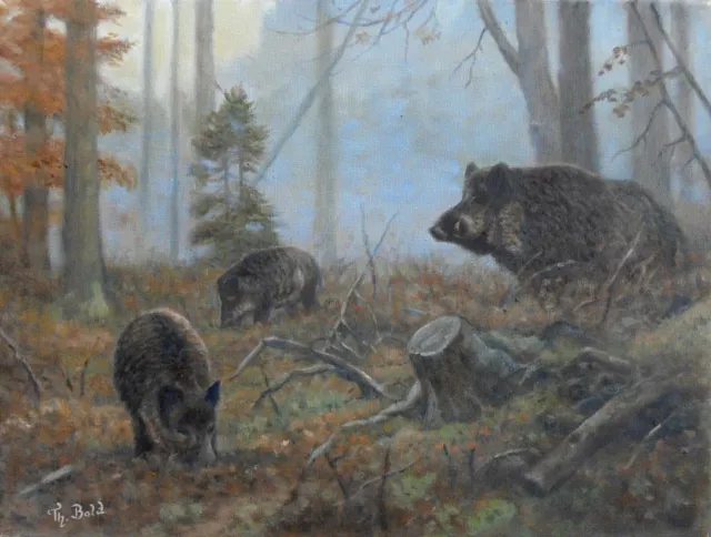 Jagdgemälde  "SCHWARZWILD IM PFÄLZERWALD" - Tier-und Jagdmaler - Thomas Bold -