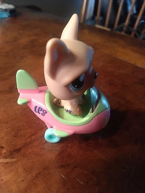 Littlest Pet Shop LPS #1847 French Bulldog Blue Eyes Airplane