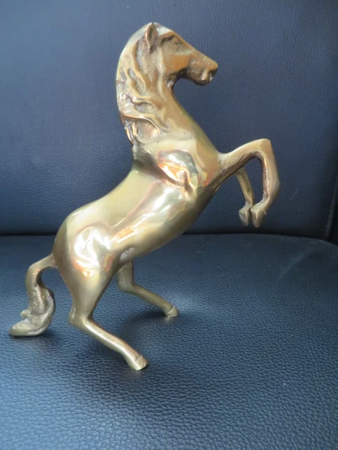 Bride d'attelage / bridon avec œillère - Accessoires animaux
