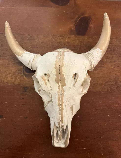 Bull Skull Horns Western Tribal Wall Hanging Decor Steer Cow 9” x 7.25” Cowboy