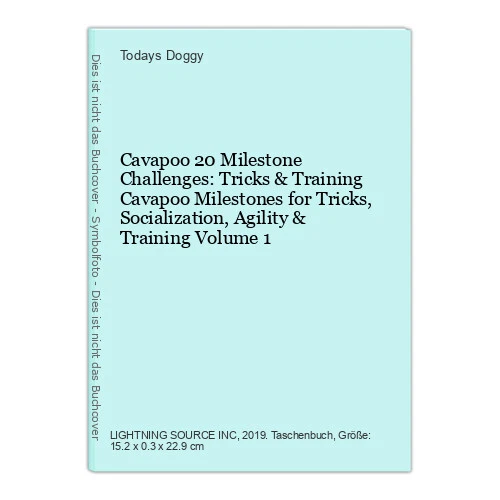 CAVAPOO 20 MILESTONE Challenges: Tricks & Training Cavapoo Milestones ...
