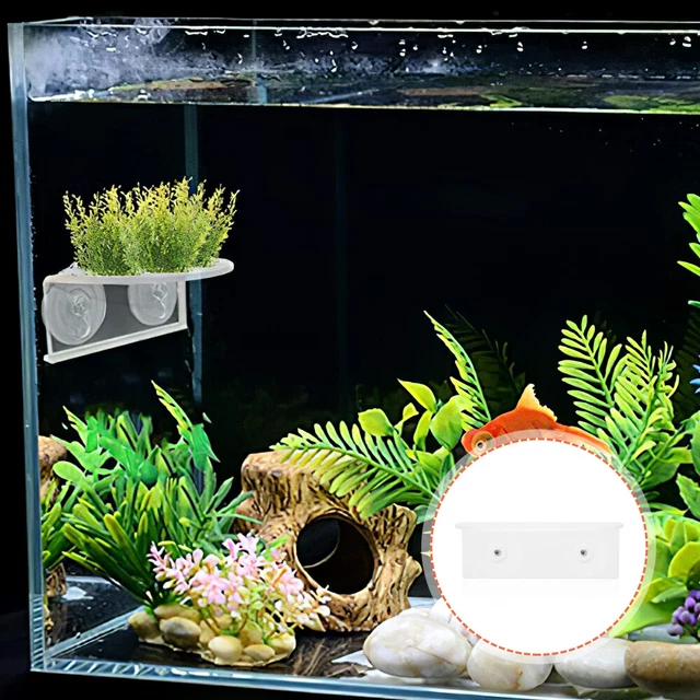 1 Juego de Marco de Soporte de Acrílico Soporte de Acuario Soporte Tanque de Peces Estante de Sostenimiento
