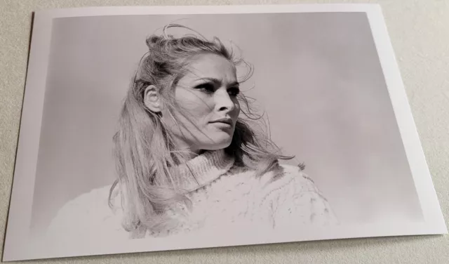 Schauspielerin URSULA ANDRESS Erotik/Film-Star-Foto, Format ca. 19 x 13 cm #7853