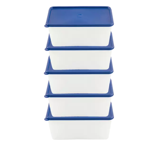 Gefrierdosen EUROHOME Frischhaltedosen Meal Prep Dosen 5-teilig Lunchbox 0,75L