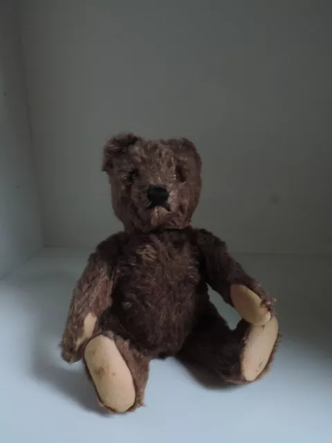 STEIFF,Bär,Teddy,Teddybär,23 cm,dunkelbraun,50erJahre,ohne KFS