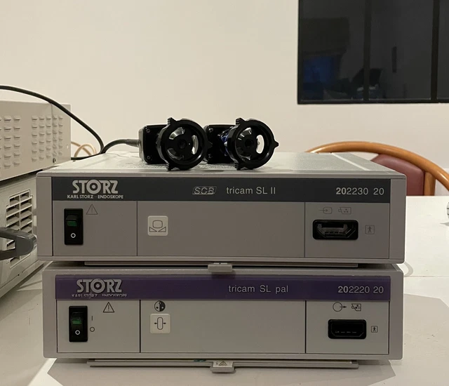 紙コップ(コールド用)SCM-220P ストライプ(2500入)/62-6538-93｜食器、グラス、カトラリー