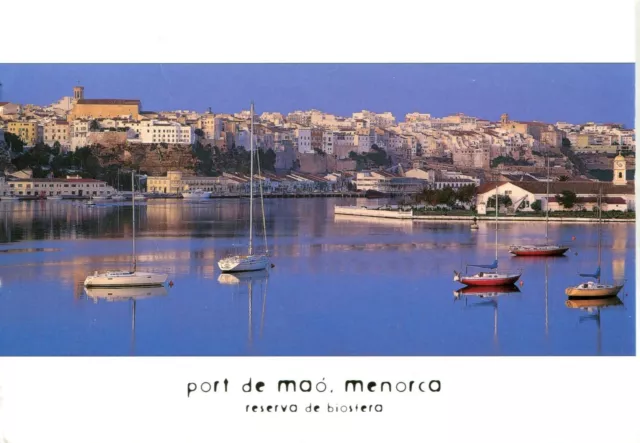 Alte Postkarte - Port de Mao - Menorca - Reserva de biosfera