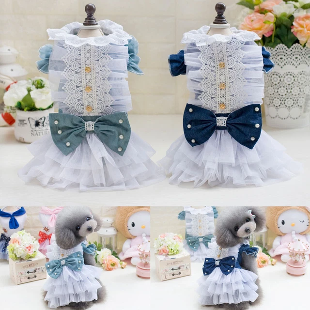 Estate Cane Denim gonna pizzo parte principessa abito costumi Gatto