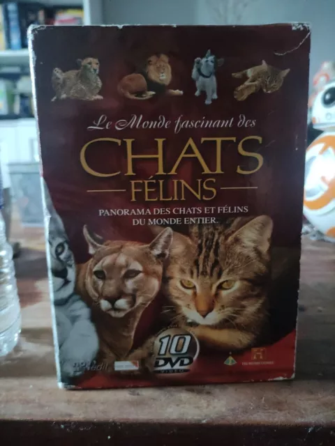 LE MONDE FASCINANT DES CHATS ET FELINS / coffret 10 dvd