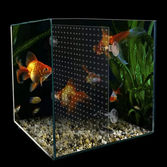 Acrylic Aquarium Fish Tank Divider Clear Kit Fit for All Type Aquarium Divider f 3
