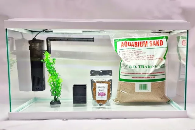 Axolotl tank kit full aquarium set up 60cm.