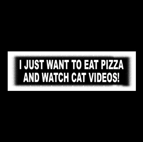 Funny "I JUST WANT TO EAT PIZZA AND WATCH CAT VIDEOS" decal STICKER sign YouTube