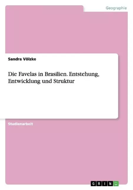 Die Favelas in Brasilien. Entstehung, Entwicklung und Struktur | Buch | 97836569